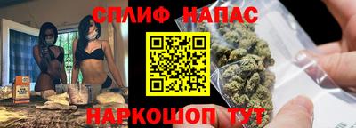 ешки Новодвинск