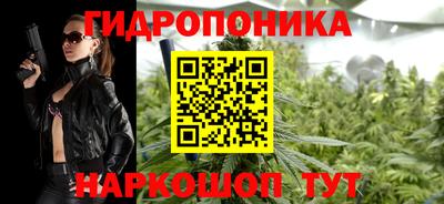 ешки Новодвинск