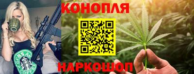 ешки Новодвинск