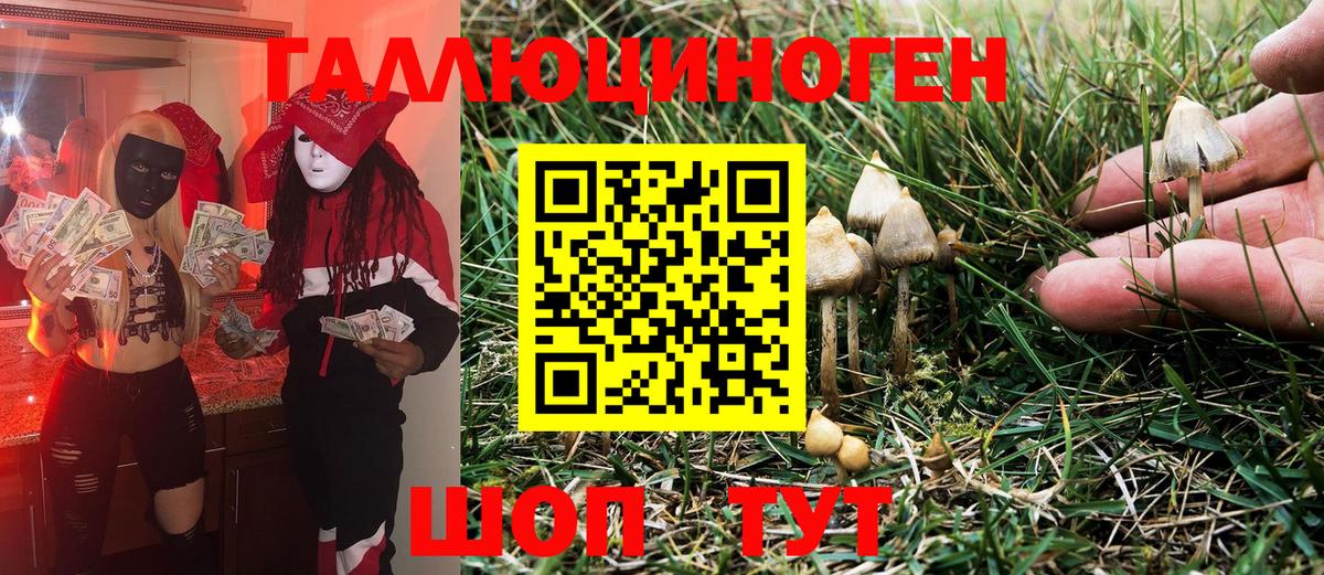 Псилоцибиновые грибы Psilocybe  Вход с VPN  Пушкино 
