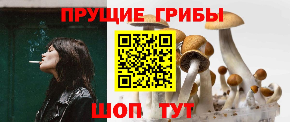 Псилоцибиновые грибы Magic Shrooms Пушкино