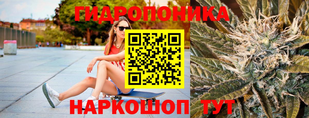 Бошки Шишки Amnesia Пушкино